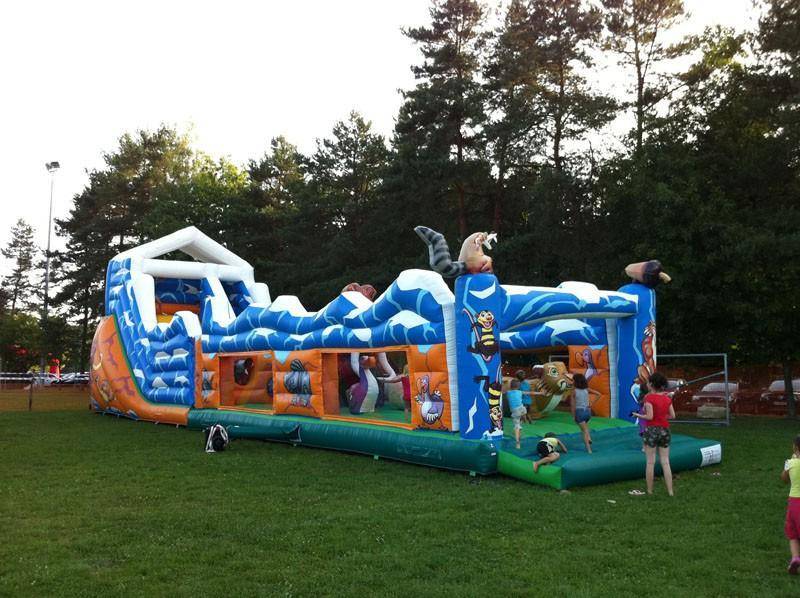 Location structure gonflable Parcours Age de Glace